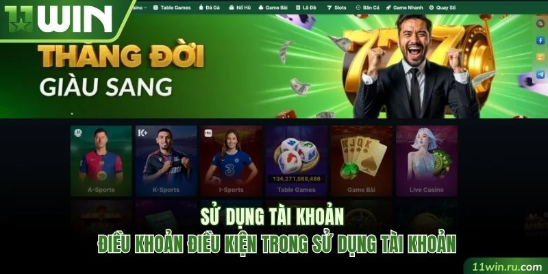 3 điều khoản điều kiện trong sử dụng tài khoản