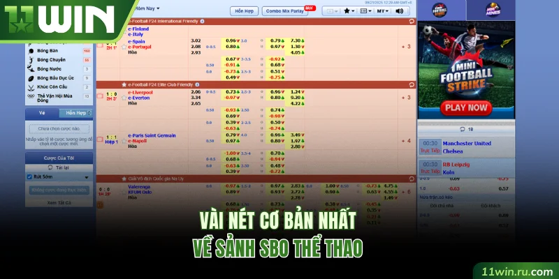 Vài nét cơ bản nhất về sảnh SBO thể thao